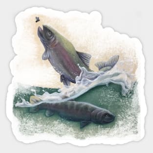 Fly Fishing Sticker